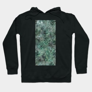 Emerald green marble photographic pattern Hoodie